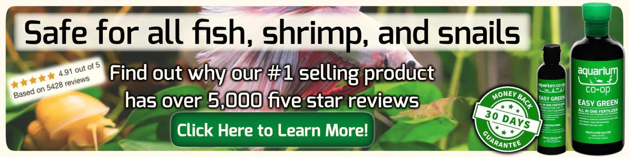 Wear Your Aquatic Passion Proudly